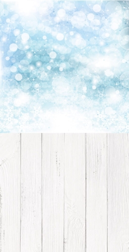 tlo fotograficzne winylowe z167.jpg