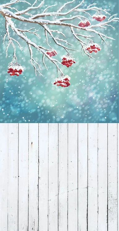 Z181  Świąteczne tło fotograficzne www.bingoland.pl.jpg