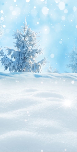 tło fotograficzne zima święta.jpg