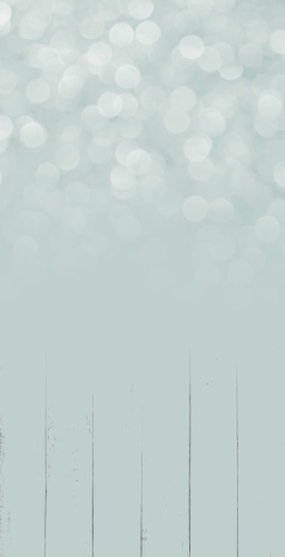 355 Winylowe tło fotograficzne simple  bokeh www.bingoland.pl.jpg