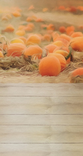 CL685  tło fotograficzne jesień dynia.jpg
