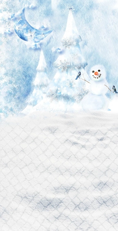 Z174   Świąteczne tło fotograficzne www.bingoland.pl.jpg