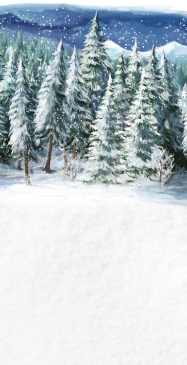 Z188  Świąteczne tło fotograficzne www.bingoland.pl.jpg