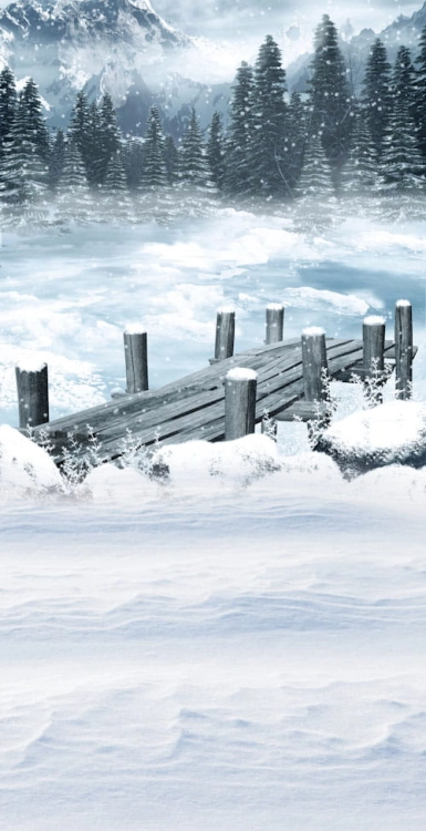 Z165 Świąteczne tło fotograficzne zimowy las  www.bingoland.pl.jpg