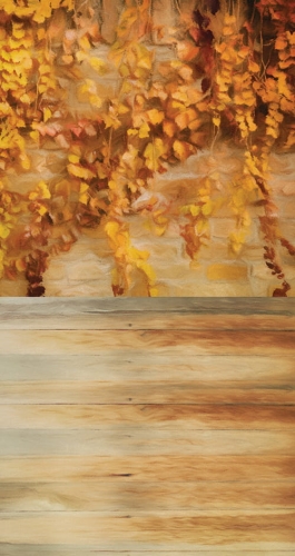 CL683  tło fotograficzne jesień ściana liście.jpg