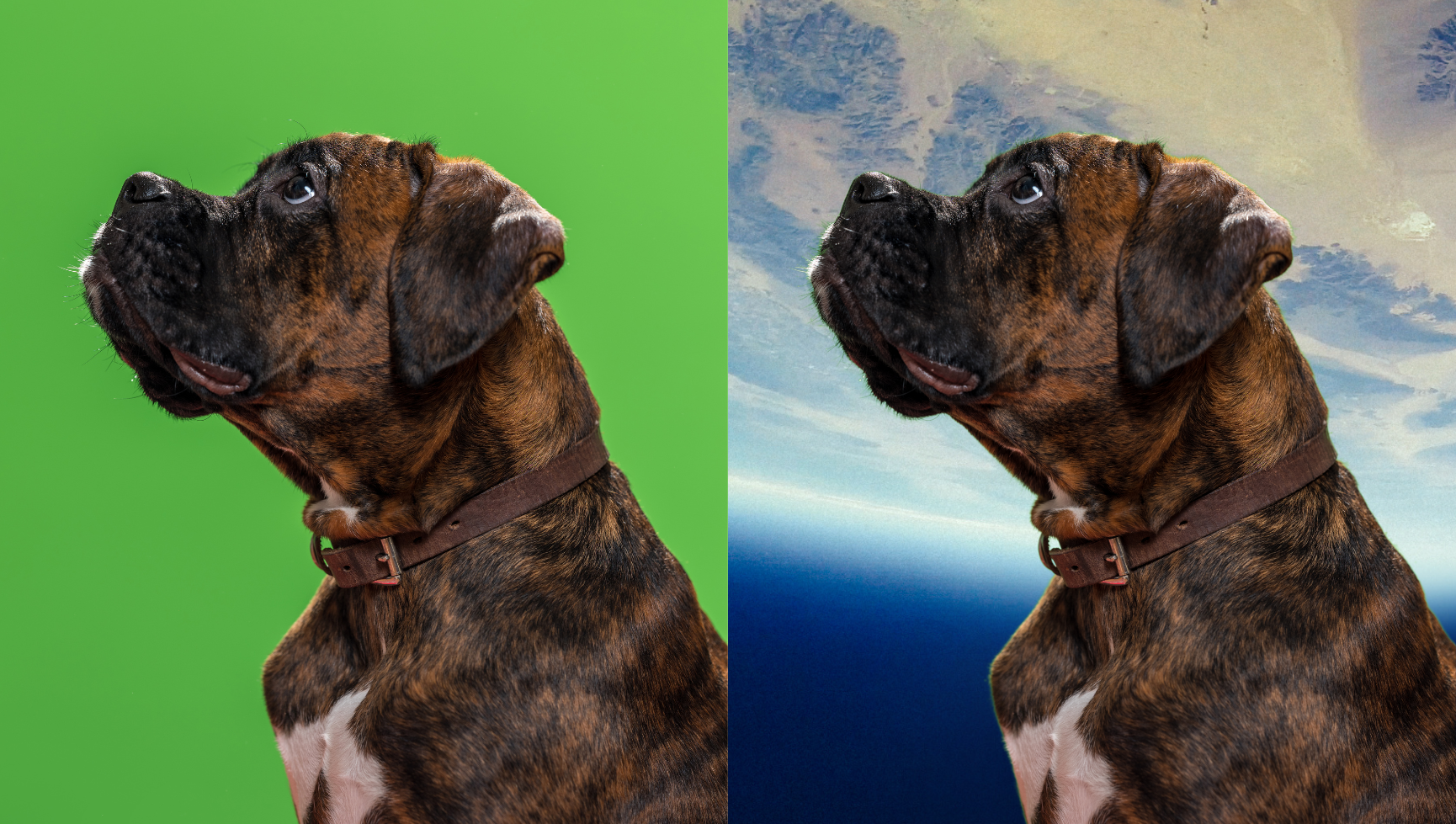 Jak działa green screen